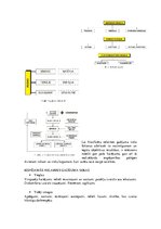 Konspekts 'Civilā un vides aizsardzība', 26.