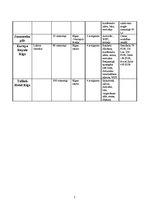 Konspekts 'Viesnīcu klasifikācijas veidi', 3.