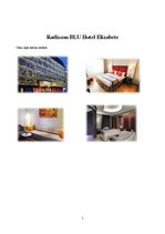 Konspekts 'Viesnīcu klasifikācijas veidi', 7.