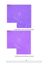 Referāts 'Piens kā biezpiena izejviela', 29.