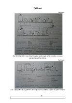 Referāts 'Piens kā biezpiena izejviela', 32.