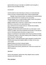 Referāts 'Ziemas sporta veidi', 5.