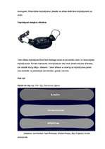 Referāts 'Ziemas sporta veidi', 7.