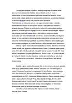 Referāts 'Ziemas sporta veidi', 8.