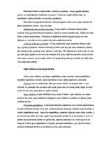 Referāts 'Ziemas sporta veidi', 11.