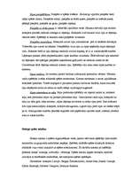 Referāts 'Ziemas sporta veidi', 12.