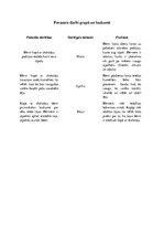 Konspekts 'Pavasara darbi grupā un laukumā', 1.