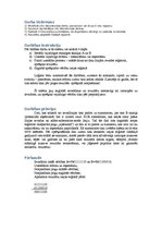 Paraugs 'Mikroshēmtehnika. Piektais laboratorijas darbs', 2.