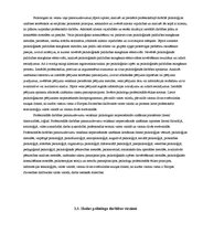 Referāts 'Datoru tehnoloģijas skolas psihologa darbā', 10.