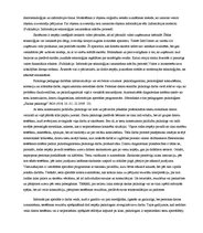 Referāts 'Datoru tehnoloģijas skolas psihologa darbā', 12.