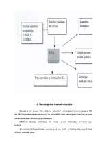 Referāts 'Kvalitātes kontroles sistēma HACCP', 27.