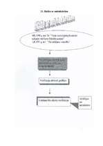 Referāts 'Kvalitātes kontroles sistēma HACCP', 29.