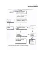 Referāts 'Kvalitātes kontroles sistēma HACCP', 36.