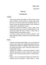 Konspekts 'Valsts policijas darbinieku ētikas kodeksa un zvērinātu tiesu izpildītāju ētikas', 1.