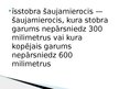 Prezentācija 'Īsstobra šaujamieroči jeb pistoles un revolveri', 2.