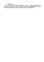 Referāts 'Starptautiskās lidostas "Rīga" vietas analīze', 3.