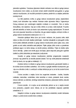 Diplomdarbs 'Brīvprātīgo kustības loma, darbības joma pasaulē un Latvijā', 27.