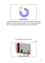 Diplomdarbs 'Brīvprātīgo kustības loma, darbības joma pasaulē un Latvijā', 39.