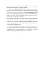 Eseja 'Globalizācijas plusi', 2.