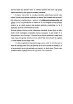 Eseja 'Globalizācijas plusi', 3.