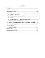 Referāts 'In situ oksidācijas tehnoloģija', 3.