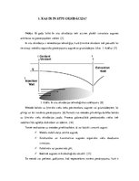 Referāts 'In situ oksidācijas tehnoloģija', 5.