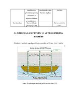 Referāts 'In situ oksidācijas tehnoloģija', 13.