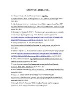 Referāts 'In situ oksidācijas tehnoloģija', 19.