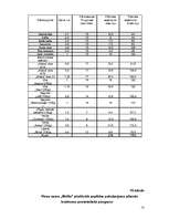 Biznesa plāns 'Viesu nams "Melita"', 13.