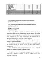 Biznesa plāns 'Viesu nams "Melita"', 28.