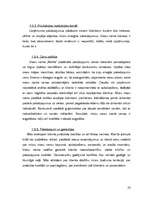 Biznesa plāns 'Viesu nams "Melita"', 32.