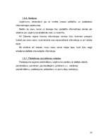 Biznesa plāns 'Viesu nams "Melita"', 33.