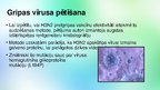 Prezentācija 'Atklāts, kādēļ pretgripas vakcīnas nav efektīvas', 5.