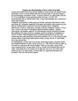 Referāts 'Kas krīzes laikā paliks lētāks?', 6.