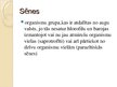 Prezentācija 'Sēnes, prečziniskais raksturojums', 2.