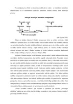 Referāts 'Atribūcijas teorijas', 3.