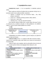 Prakses atskaite 'Finanšu vadības prakse', 10.