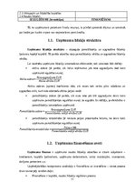 Prakses atskaite 'Finanšu vadības prakse', 11.