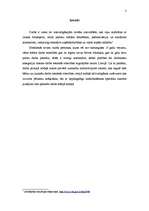 Referāts 'Nepilngadīgu personu nodarbināšana un tās tiesiskās sekas', 3.