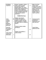 Paraugs 'Sporta stundas konspekts 9.klasei akrobātikā', 4.