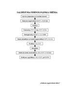 Referāts 'Saldējuma ražošanas un pārstrādes tehnoloģija', 4.