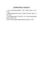 Referāts 'Saldējuma ražošanas un pārstrādes tehnoloģija', 19.