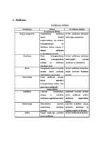 Referāts 'Saldējuma ražošanas un pārstrādes tehnoloģija', 21.