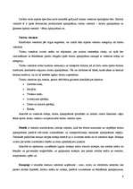 Referāts 'Tūrisma un viesnīcu biznesa nozares apraksts', 9.