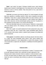 Referāts 'Tūrisma un viesnīcu biznesa nozares apraksts', 11.