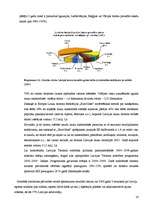 Referāts 'Tūrisma un viesnīcu biznesa nozares apraksts', 16.