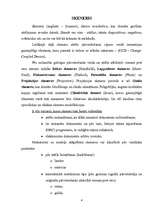 Referāts 'Skeneris', 4.