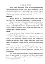 Referāts 'Skeneris', 10.