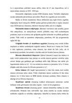 Referāts 'Skeneris', 13.