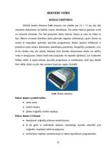 Referāts 'Skeneris', 20.